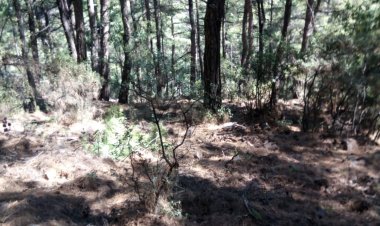 Çevresel Etki Değerlendirme (ÇED) Raporu ve ÇED Gereki Değildir İzineri 